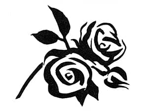 �K���X���y�[�p�[�E�F�C�g�ւ̒����ɓK�����C���X�g�i�o���̉ԁj�̃T���v��