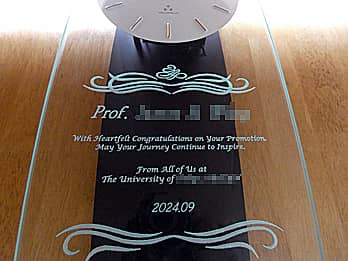 �����A�C�j���p�̖�����|�����v