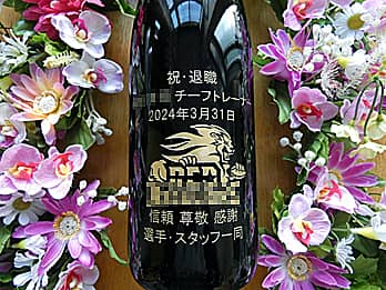 �X�|�[�c�`�[���̃��S�}�[�N��r�̑��ʂɒ��������A��N�ސE�j���p�̂���