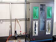 �T���h�u���X�g�p�L���r�l�b�g�̊O��