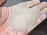 �{�g���𒤍�����̂ɗp���������