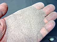 �T���h�u���X�g�̌����ނƂ��Ďg�p���������