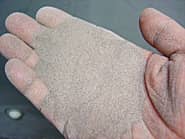 �T���h�u���X�g�̌����ނƂ��Ďg�p����������̉摜