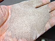 �T���h�u���X�g�̌����ނƂ��Ďg�p����������̉摜