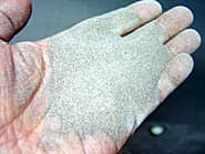 �T���h�u���X�g�̌����ނƂ��Ďg�p����������̉摜