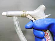 �T���h�u���X�g�K���̉摜