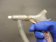 �T���h�u���X�g�K���̉摜