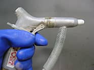 �T���h�u���X�g�K���̉摜