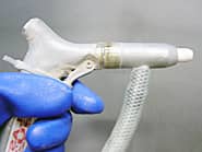 �T���h�u���X�g�K���̉摜