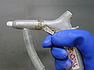 �T���h�u���X�g�K���̉摜