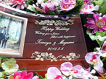 �����j���p�̖�����ʐ^����